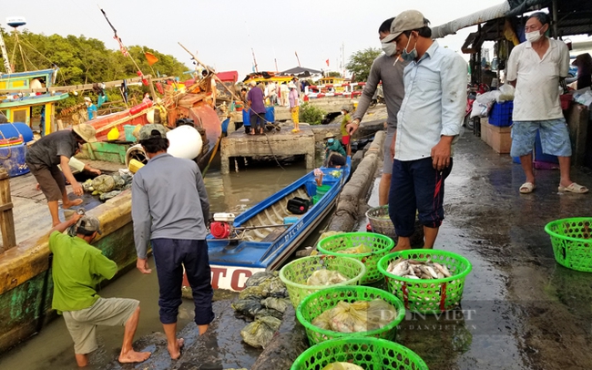 Kinh nghiệm khám phá du lịch biển cuối tuần Cần Giờ | ẩm thực Sài Gòn