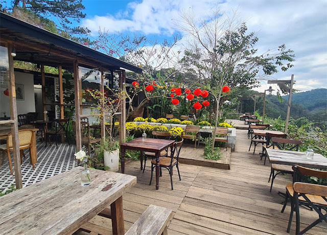 Trong Rừng Đà Lạt - Quán cafe cực lạnh ẩn mình giữa đồi thông tuyệt đẹp | ẩm thực Sài Gòn