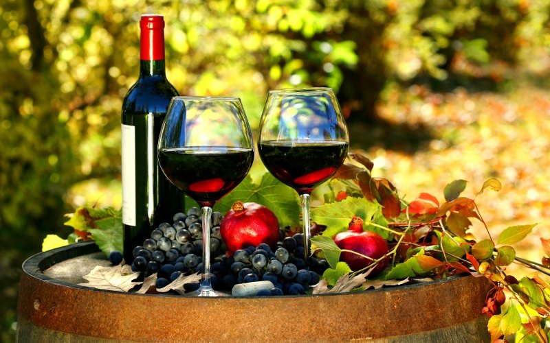 Rượu Trái Cây Và Những Kiến Thức Bổ ích Cần Phải Biết