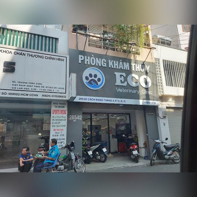 Top 25 Phòng Khám Thú Y Mới Uy Tín, Chất Lượng Tại Sài Gòn | ẩm thực Sài Gòn