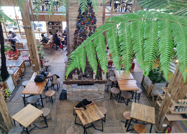 Top 3 quán cà phê gỗ ở Đà Lạt khiến giới trẻ mê mẩn | ẩm thực Sài Gòn