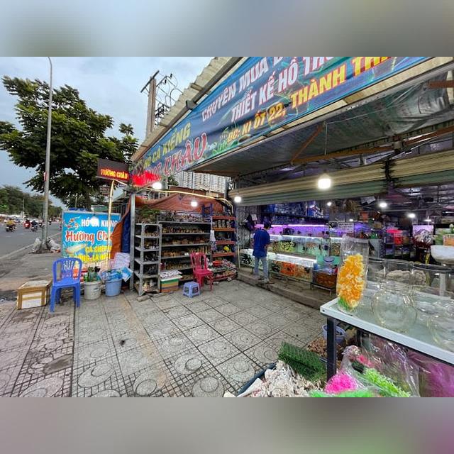 Top 33 cửa hàng bán cá cảnh đẹp nhất Sài Gòn mới nhất | ẩm thực Sài Gòn